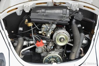 Volkswagen Beetle - 19