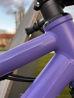 Jeronimo Txabardo / 29er / CrMo / Custom Hardtail - 19