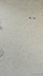 Emile Meyer 1823-1893 - 19