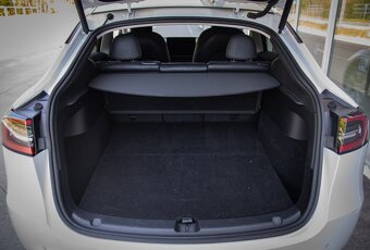 TESLA Y LongRange - 19