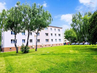 Predaj 3 izb. bytu v Dolných Vesteniciach - 19