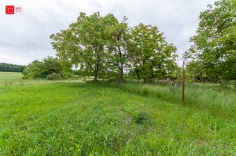 Predaj domu príp. chalupy v obci Dedinka pri NZ - 19