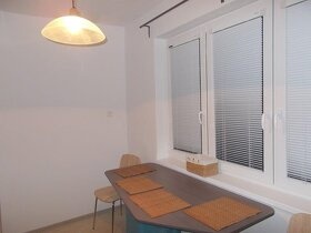 PRIESTRANNY 4i BYT S GARAZOU,PIVNICOU,KOMOROU a ZAHRADOU - 19