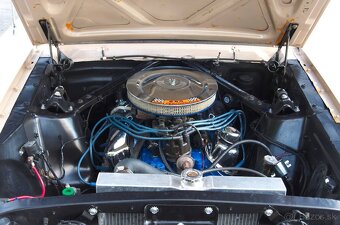 Ford Mustang 1966 - 19