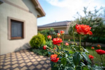 RUŽINDOL, 6 IZBOVÝ DOM NA PREDAJ, POZEMOK 677 m2 - 19