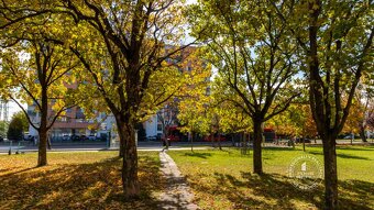 AXIS REAL | 3i byt s potenciálom v pôvodnom stave, Ružinov,  - 19