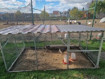 Voliéra ,klietka - 19