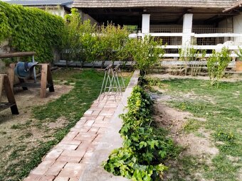 Na predaj areál na vidieku 🍀 farma, usadlosť, stavebné - 19