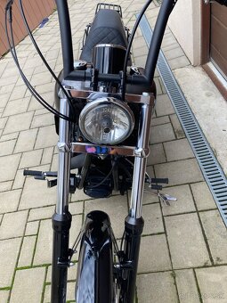 Harley Davidson-softail - 19