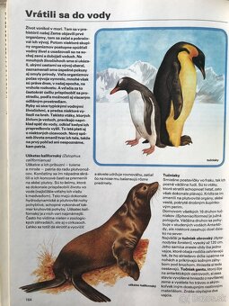 Bukovský, Psy, Golf Fyzika, Malý atlas húb, Slovenský futbal - 19