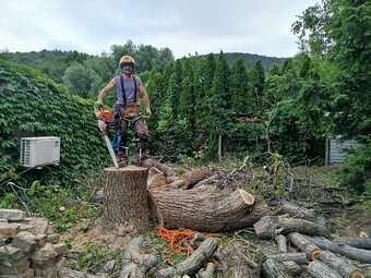 Arboristika, rizikové výruby a orezy stromov - 19