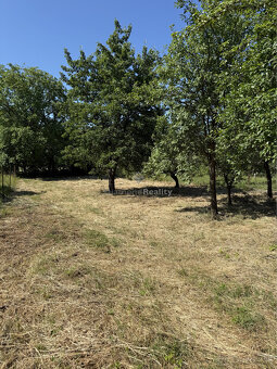 Rodinný dom, Kalša, dohoda možná, 1916 m2, - 19