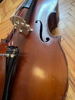 Violomcello - 19