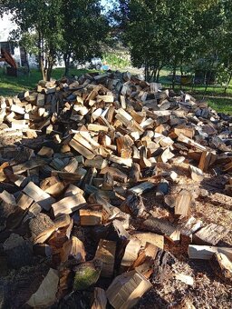 Agát, Agátové ploty - 19