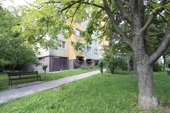 TOP PRIESTRANNÝ, TICHÝ 1I BYT NA HOMOLOVEJ ULICI - 19