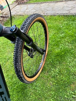 CTM Pulze Pro 29” - 19