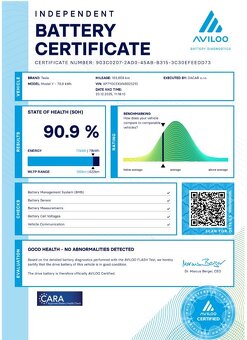 TESLA MODEL Y DUAL MOTOR LONG RANGE AWD - 19