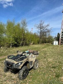 Kawasaki Brute Force 750 - 19