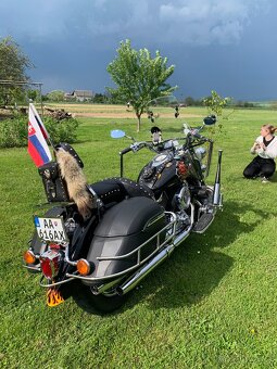 Yamaha xvs 1100 DragStar - 19