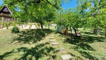 ZÁHRADNA CHATA S VINICOU, JABLONOV NAD TURŇOU - 19