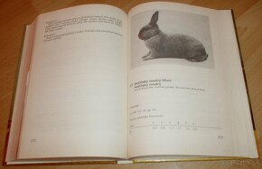 Vzorník plemen králíku - 19