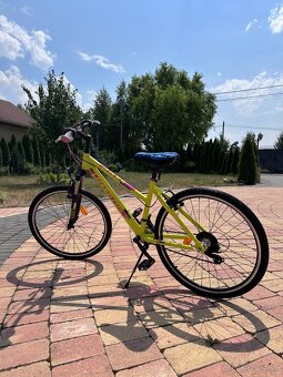 Predám lacno bicykle - 19