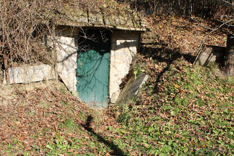 EXKLUZÍVNE-SPEKTRUM REALITY- Na Predaj  záhradná chatka s po - 19