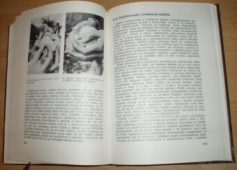 Chov husí a kačíc - 19