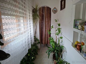 Rodinný dom s. č. 541, Dolné Saliby, okr. Galanta - 19