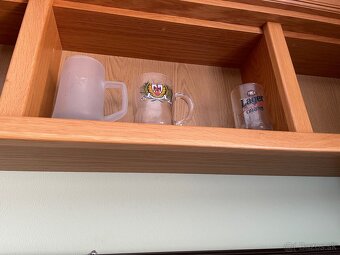 Umelecké pivové poháre z celého sveta - 19