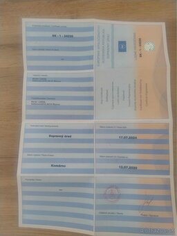 Motorový čln Wellcraft 187 Eclipse XL + prives - 19