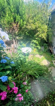 Predaj chatky vo vyhľadávanej Lutile iba 3 km od ZH. - 19