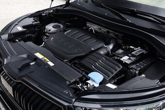Škoda Kodiaq 2.0 TSI RS 4x4 DSG - 19