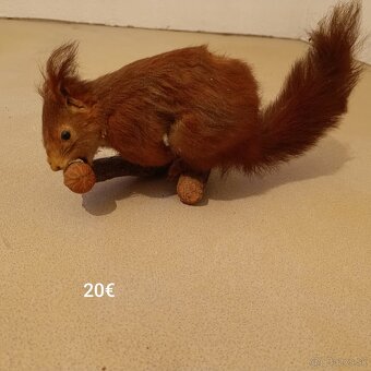 Rôzne preparáty na predaj - 19