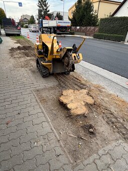 Kosenie/Strihanie/Údržba zelene/Pílenie /Drvenie - 19