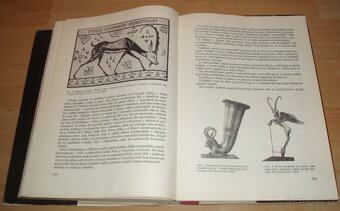 Dutorohá zvěř - 19