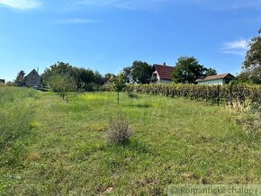 Viničný domček s vinohradom nad malebnou dedinkou Michal - 19