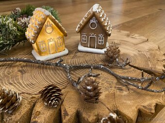 Led medovníkový domček - 19