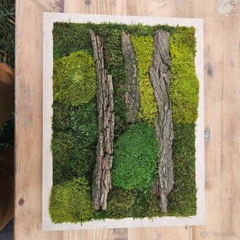 Adventné svietniky a machové obrazy - 19