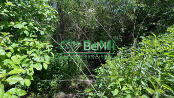 Pozemky 2536m2, 5974m2 Pliešovce, Zvolen - 19