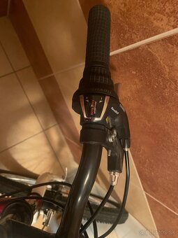Detský bicykel - CTM - 19