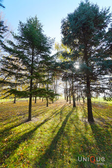 NA PREDAJ RODINNÝ DOM V OBCI LIPOVÉ NA VEĽKOM POZEMKU - 19