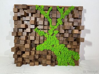 Machové obrazy - akustické difúzory - 19