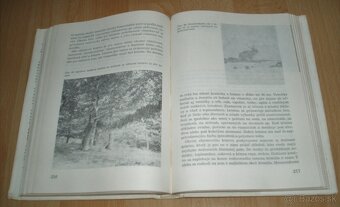 Zajac a králik - 19