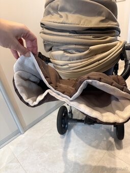 Predam kocik Camarelo - 19