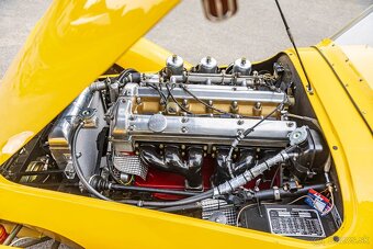 Kougar Sports Roadster - 19