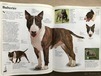 Queen, Jóga, Veľká kniha o psoch, Jak se loví sumec, Syry - 19