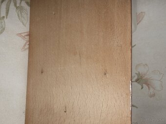 nastenny mlyncek ,,labute - 19