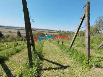 Predaj, 2 zrekonštruované viničné domy - Levice / Staré Levi - 19