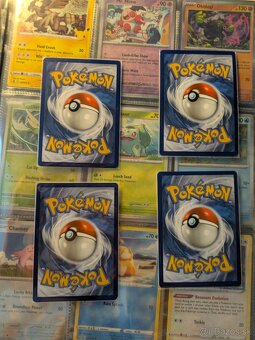 Pokémon karty - 19